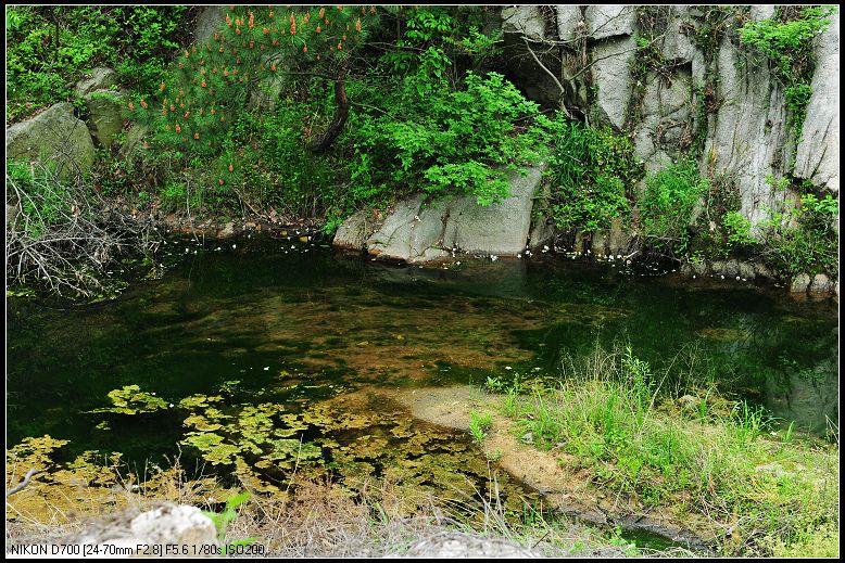 dsc_1689.jpg