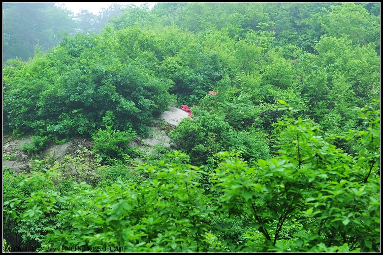 dsc_1696.jpg