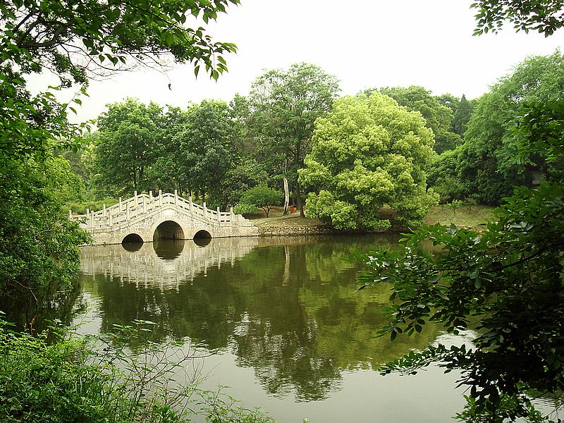 dsc 454.jpg