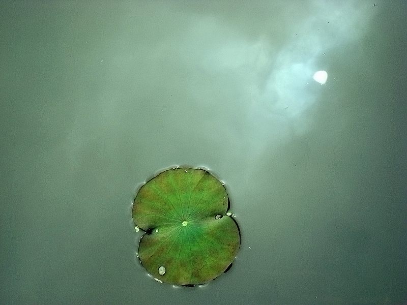 dsc 370.jpg