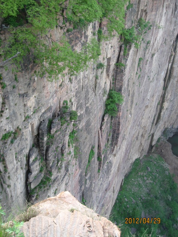conew_img_50882.jpg