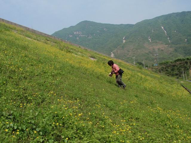 С p4281645.jpg