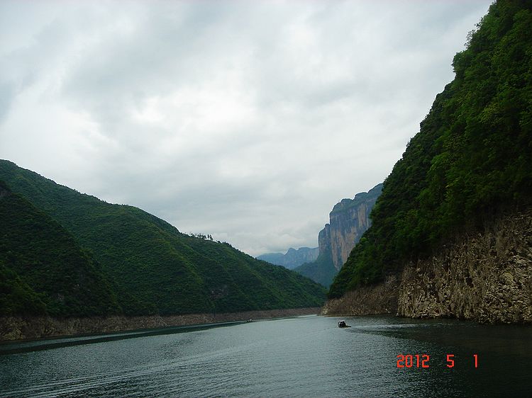 neo_img_dsc08263.jpg