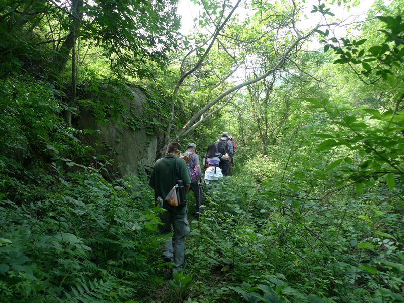 p1080938.jpg