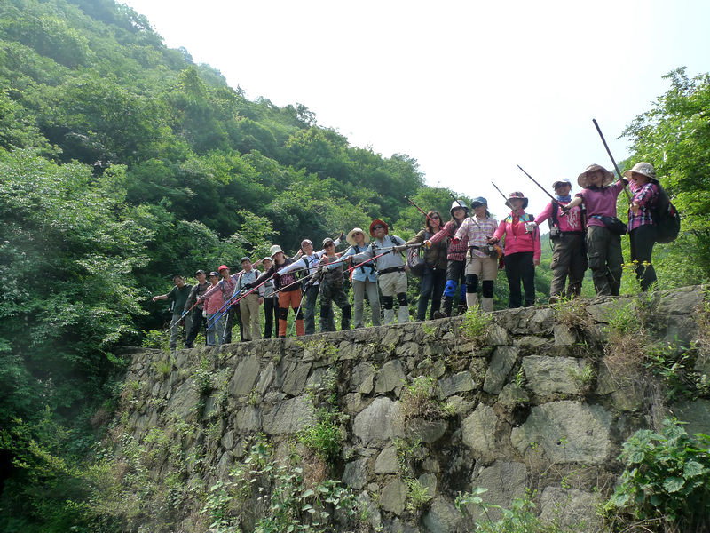 p1080942.jpg