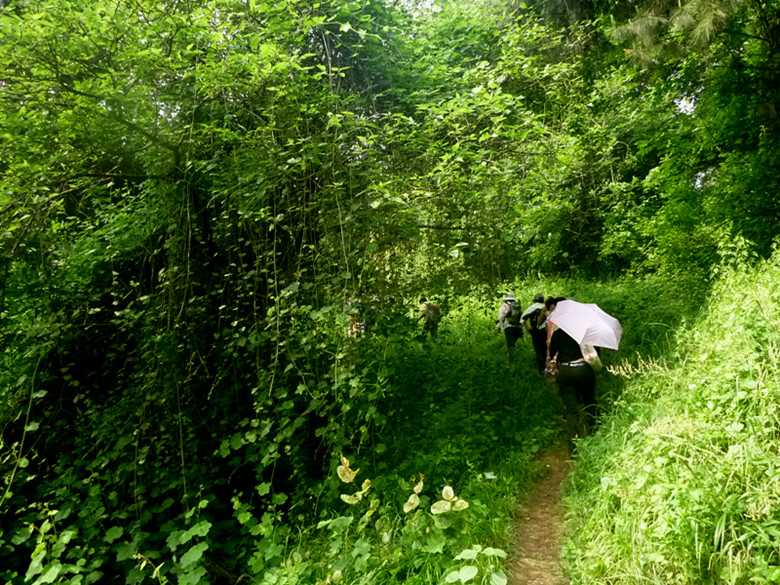 p1110528_.jpg