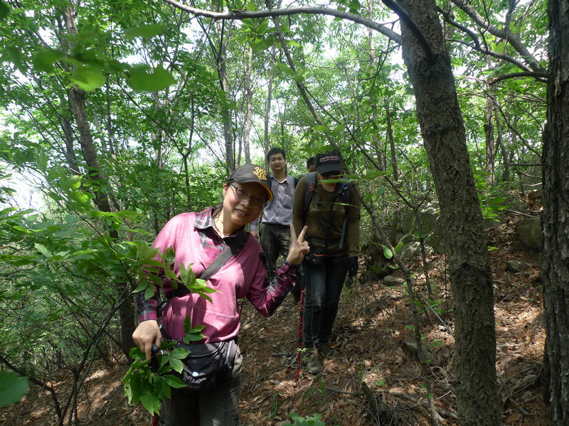 p1080959.jpg