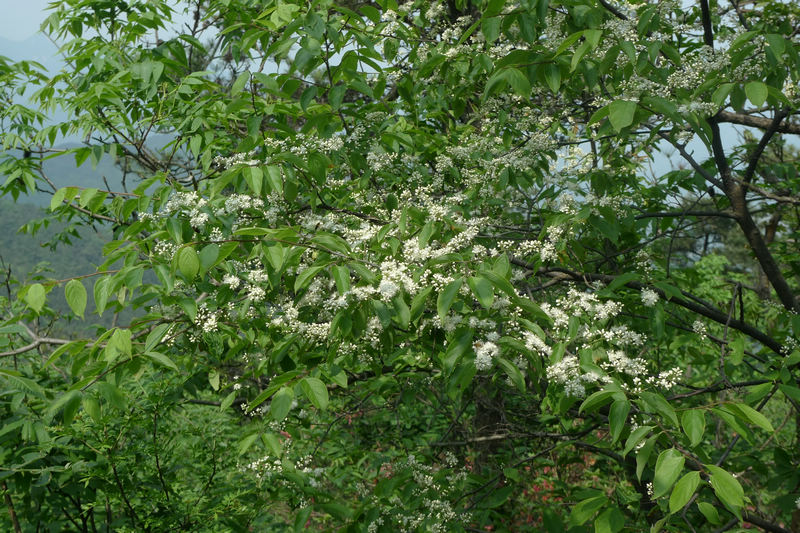 p1090038.jpg