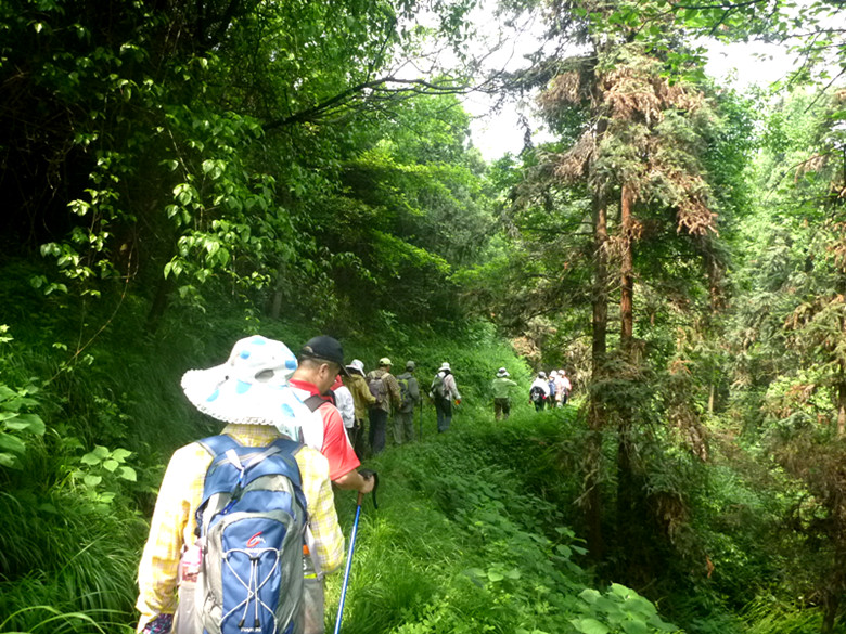 p1110530_.jpg