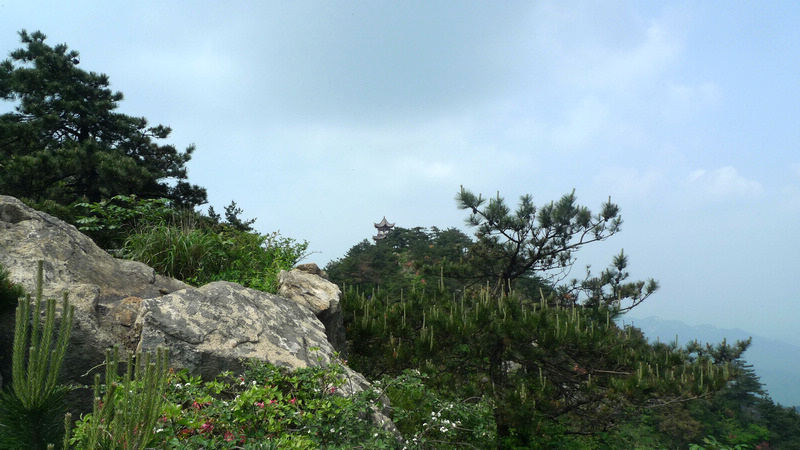 p1090026.jpg