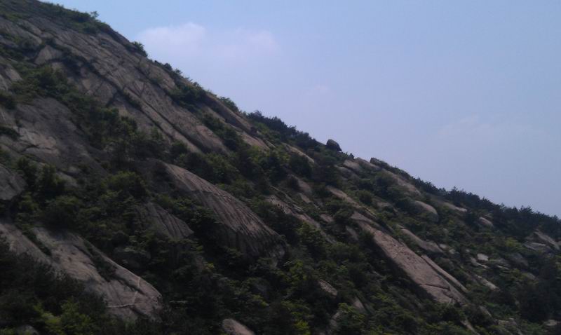С imag0060.jpg