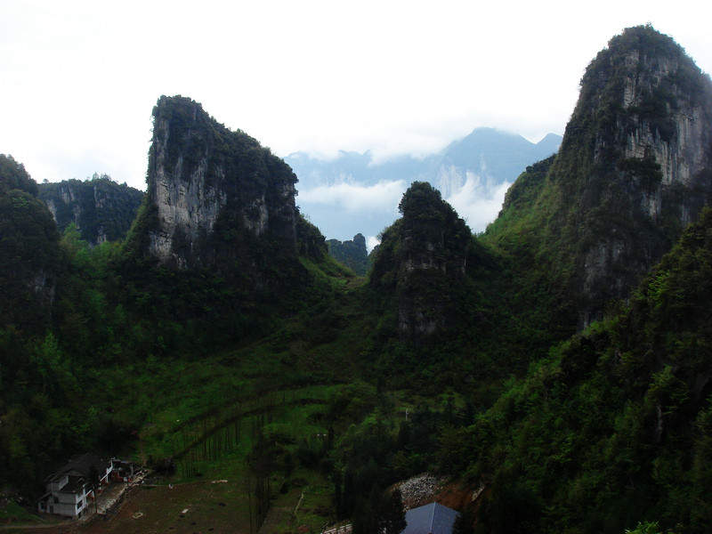 neo_img_dsc00079.jpg