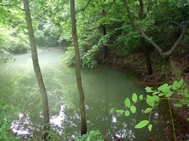 p1110542_.jpg