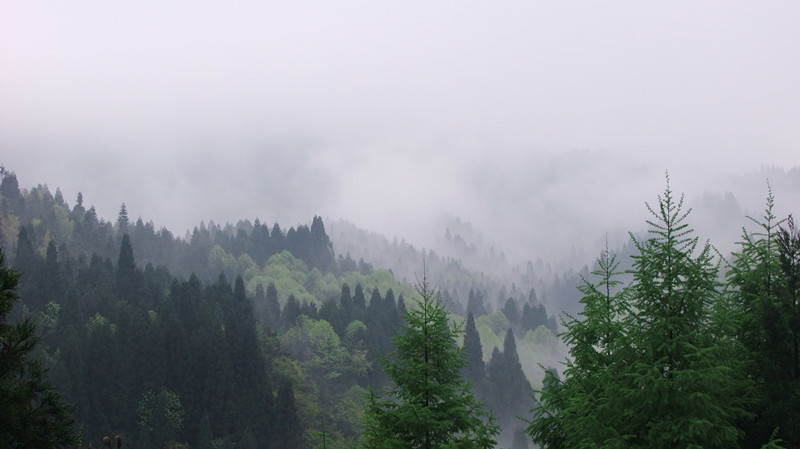 dscf5045_.jpg