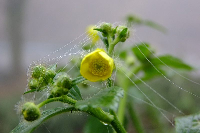 dscf5106_.jpg