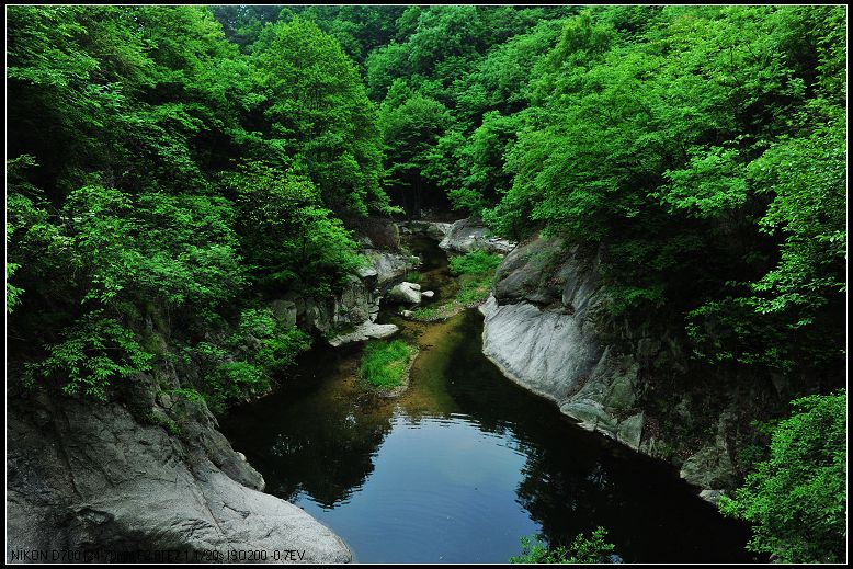 dsc_1769.jpg