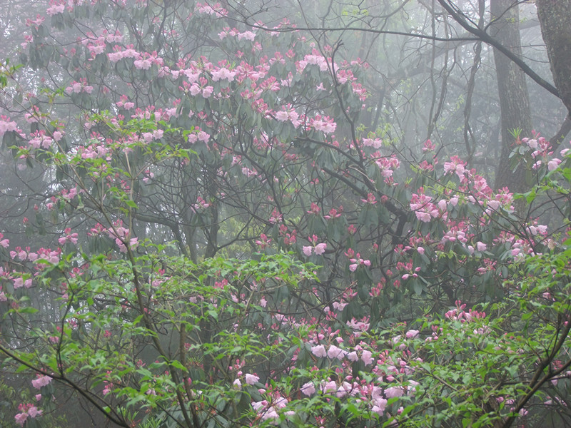 dscf5091_.jpg