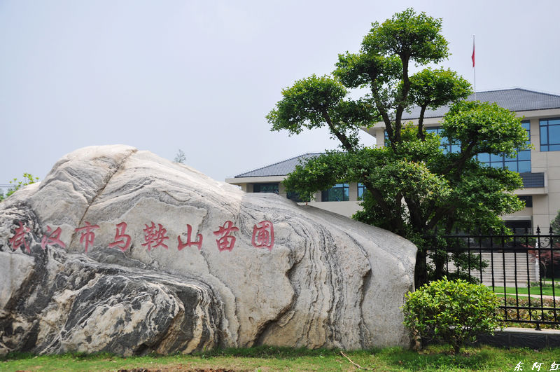 dsc_0230.jpg