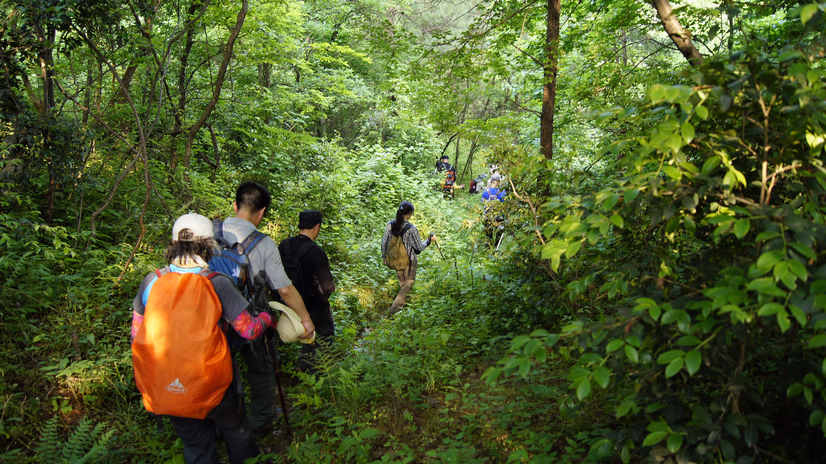 _dsc0964.jpg