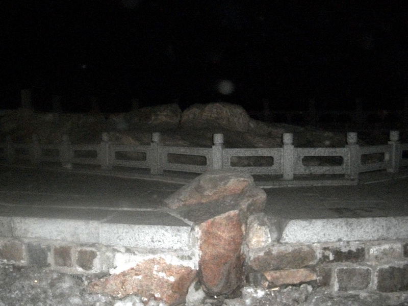 dscf0423.jpg