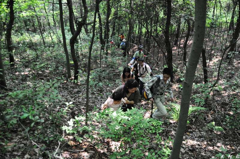 dsc_0249.jpg