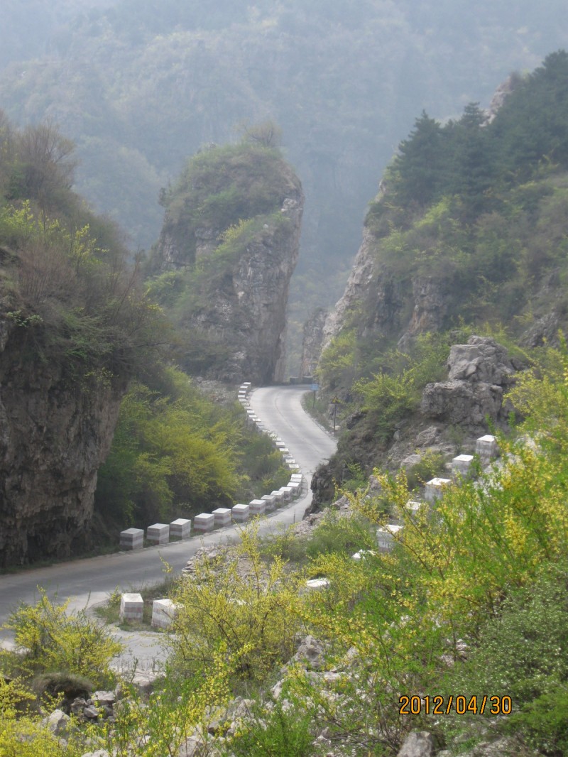 conew_img_51421.jpg
