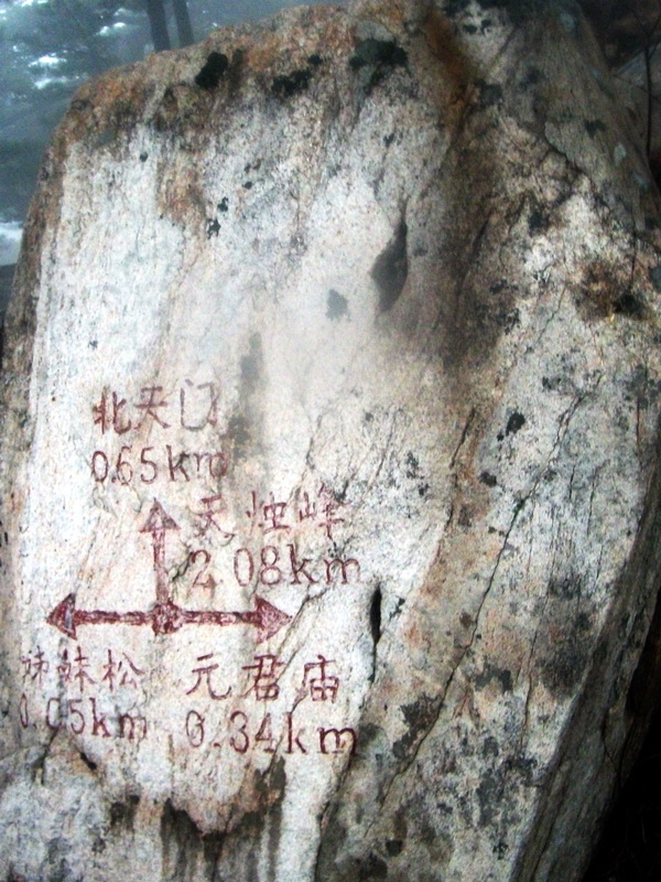 dscf0214.jpg