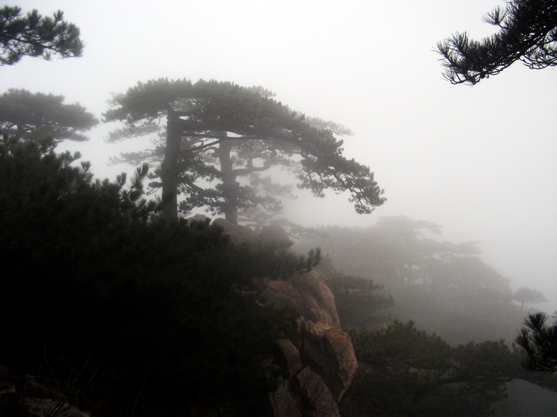 dscf0216.jpg