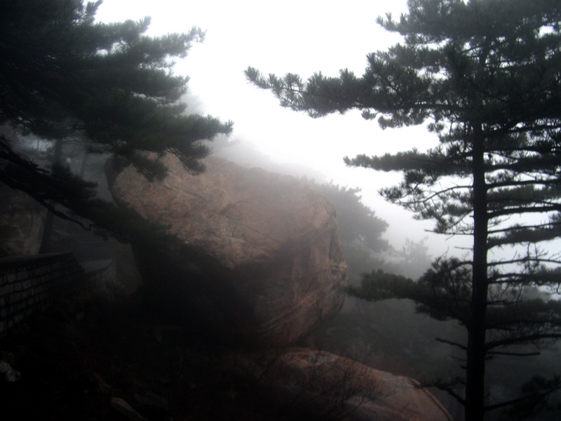 dscf0220.jpg