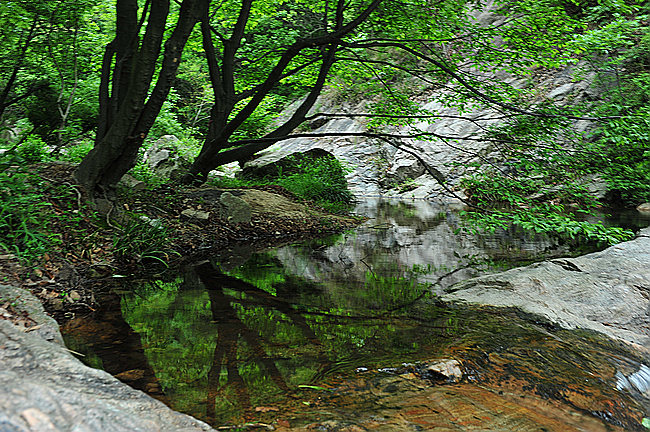 dsc_1770.jpg