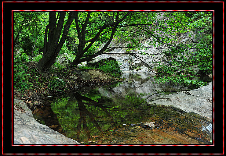 dsc_1770.jpg
