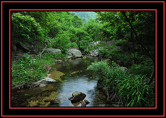 dsc_1772.jpg