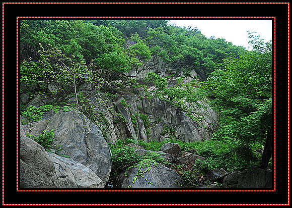 dsc_1777.jpg