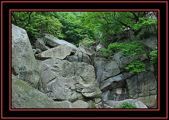dsc_1778.jpg
