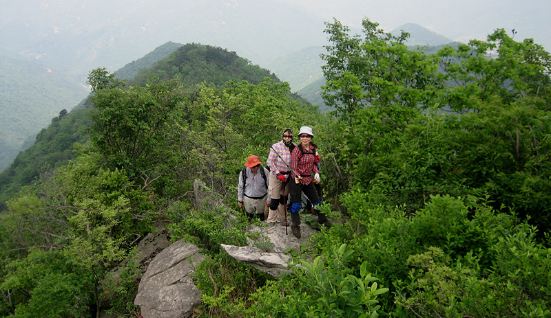 img_0953_1.jpg