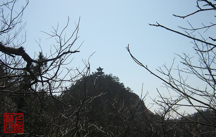 img_9390_1_.jpg