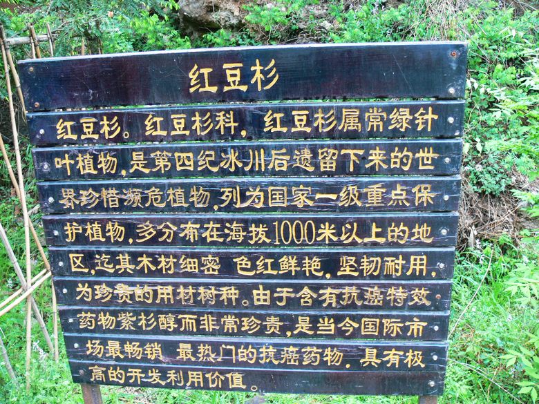 p1200035.jpg