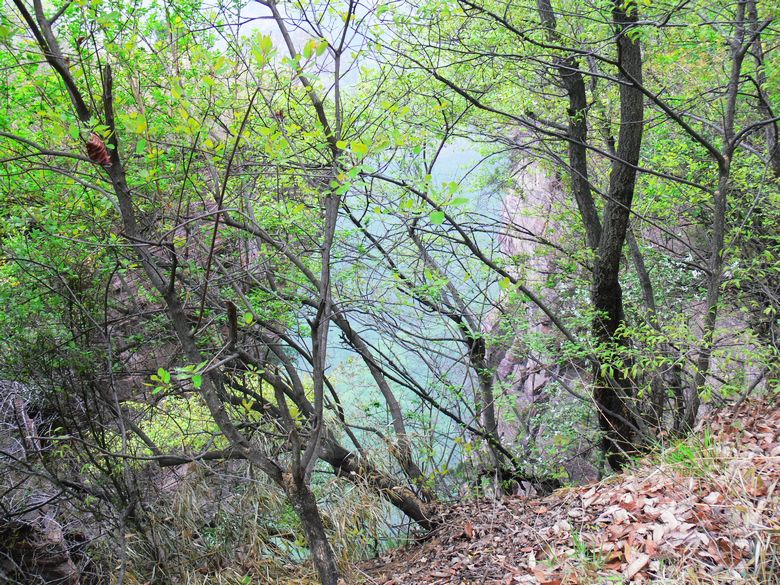 p1200042.jpg