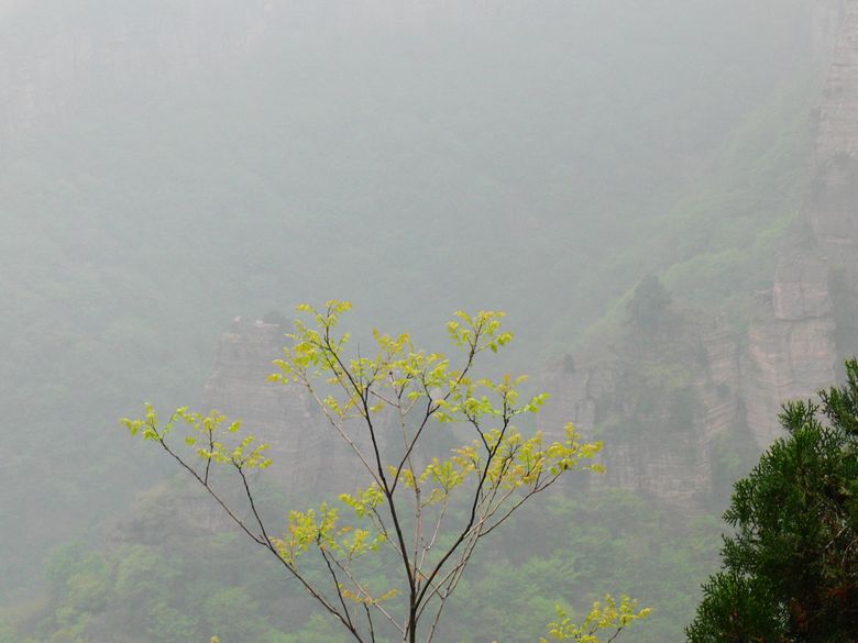 p1200045.jpg
