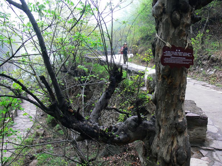 p1200047.jpg