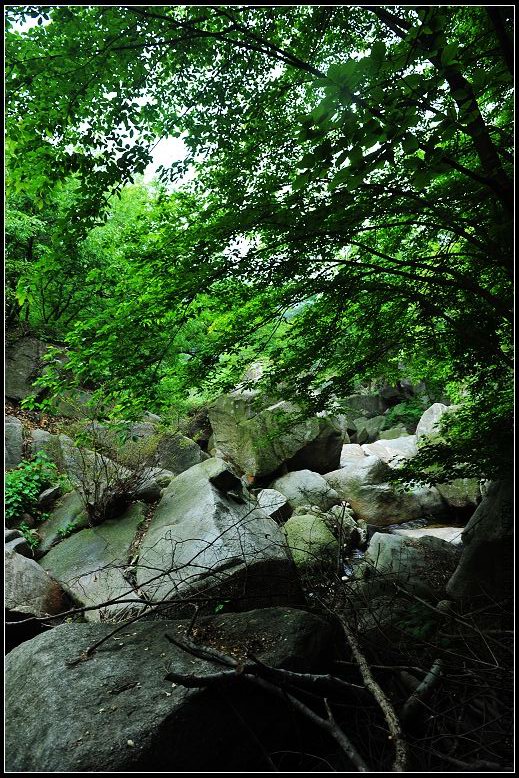 dsc_1781.jpg