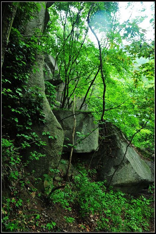 dsc_1784.jpg