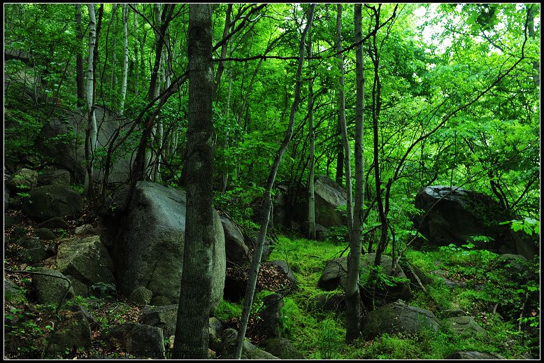 dsc_1793.jpg
