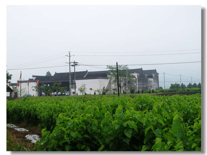 20111127 300.jpg