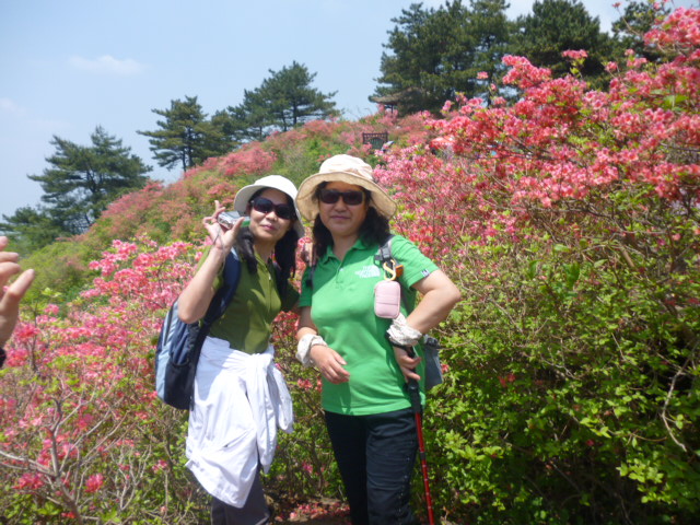 p1020829.jpg