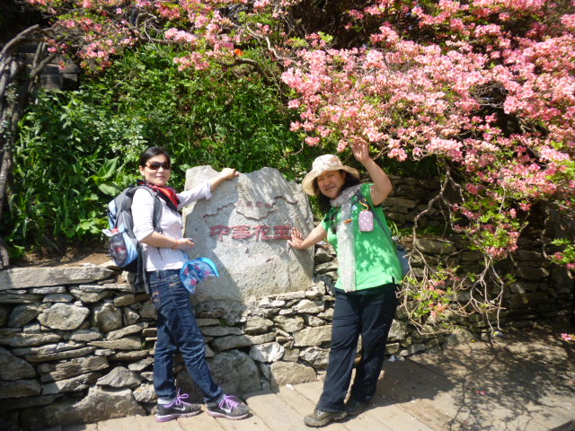 p1020925.jpg