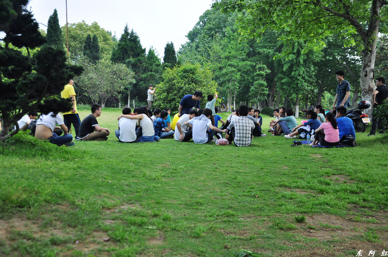 dsc_0362.jpg