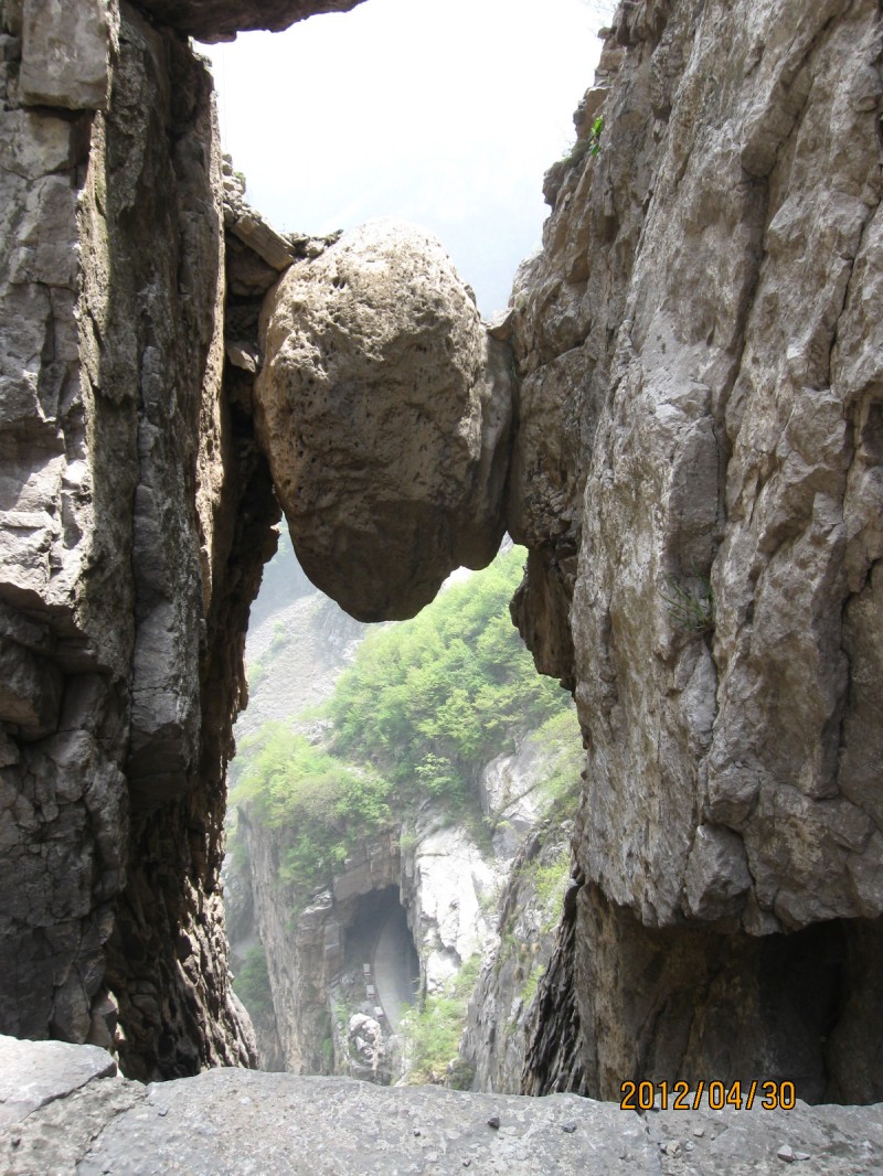 conew_img_5178.jpg