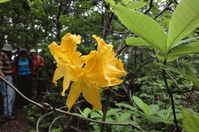 dsc09344.gif
