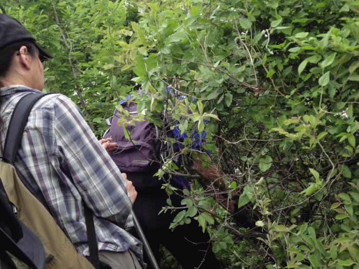 dsc09352.gif